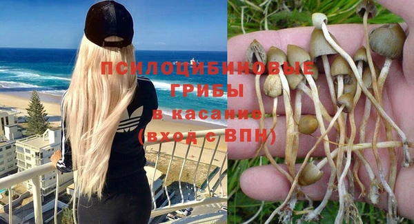 индика Алексин