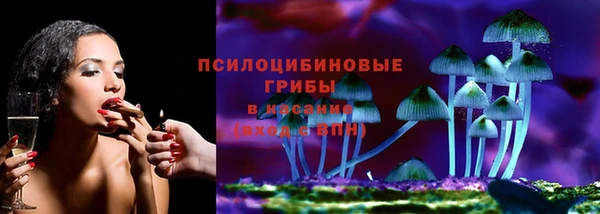 индика Алексин
