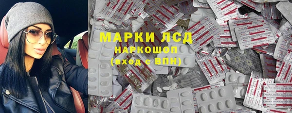 индика Алексин