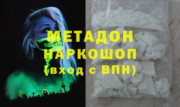 индика Алексин