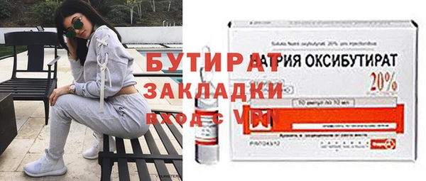 индика Алексин