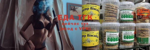 индика Алексин