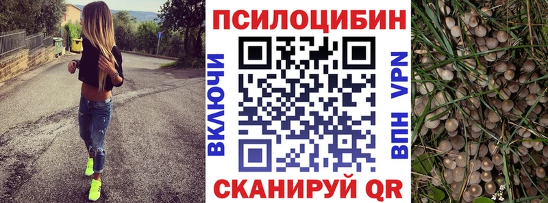 Псилоцибиновые грибы MAGIC MUSHROOMS  Новомичуринск 